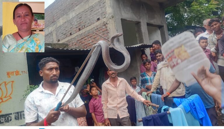 *महिलेचा सर्पदंशाने झाला मृत्यू.*